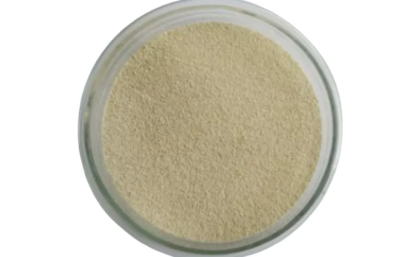 Kükürt Giderme Bakterileri