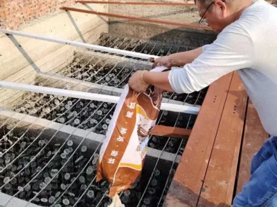 Kükürt Giderme Bakterileri