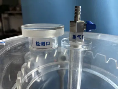 Kükürt Giderme Bakterileri