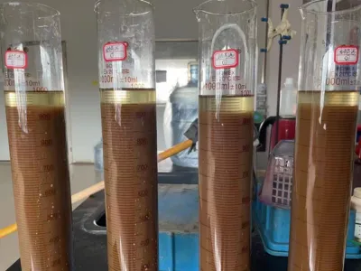 Amonyak Azotu Giderme Bakterileri (Ototrofik)