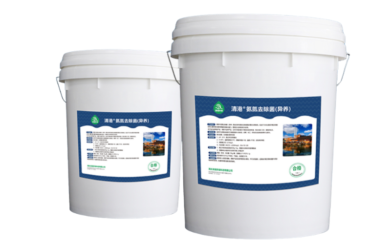 Amonyak Azotu Giderme Bakterileri (Heterotrofik)