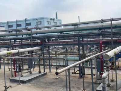 Amonyak Azotu Giderme Bakterileri (Heterotrofik)