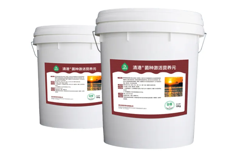 Bakteri Aktivasyon Besini