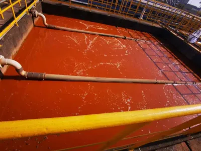 Bakteri Aktivasyon Besini