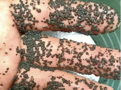 Biyo-Koku Giderici Bakteriler