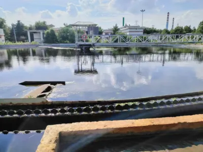 Biyo-Detoksifikasyon Bakterileri