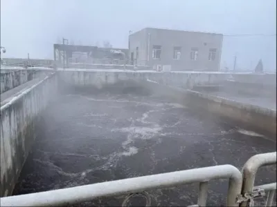 COD Giderme Bakterileri (Anaerobik)