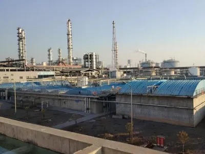 COD Giderme Bakterileri (Anaerobik)