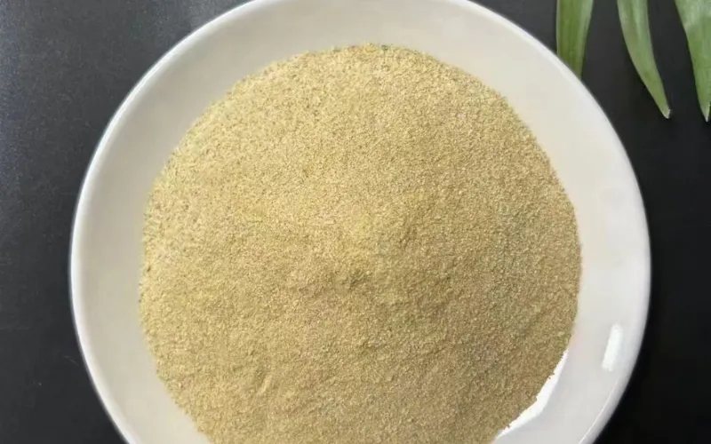 DMF Yüksek Verimli Giderme Bakterileri