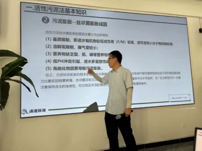 DMF Yüksek Verimli Giderme Bakterileri