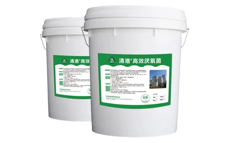 Yüksek Verimli Anaerobik Bakteriler