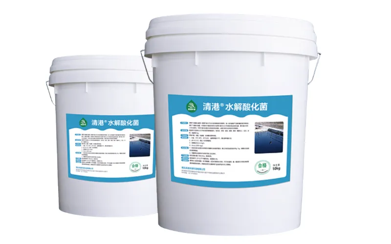 Hidrolitik Asitlendirme Bakterileri