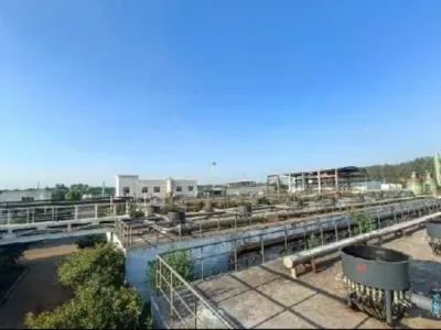 Hidrolitik Asitlendirme Bakterileri