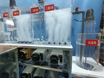 Tuz Toleranslı Amonyak Azotu Giderme Bakterileri